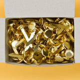 Brass Plated Fasteners