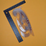 Clear French Curves - Set of 5
