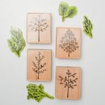 Tree + Leaf Stamp Bundle