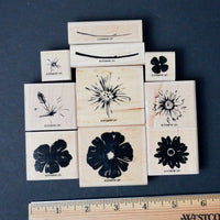 Stampin' Up! Two Step Stampin' Greenhouse Garden Rubber Stamp Set
