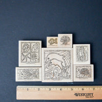 Stampin' Up! Aquaria Rubber Stamp Set