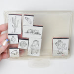 Desert + Southwest Stamp Set