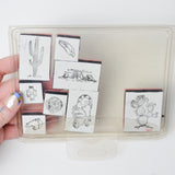 Desert + Southwest Stamp Set