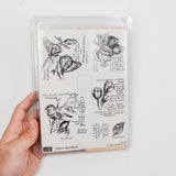 Garden Illustration + Phrase Mountable Stamps