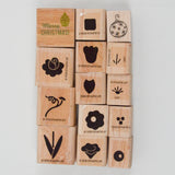 Flower Rubber Stamps - Set of 14