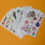 Illustration Washi Stickers