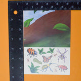 Bugs on a Log Build-A-Scene Sticker Sheet