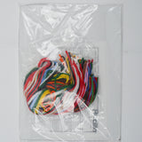 Bucilla Plastic Canvas Holiday Magnet Set Needlepoint Kit #6194