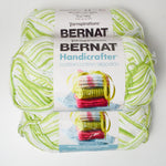 Green + White Variegated Bernat Handicrafter Cotton Yarn - 2 Skeins