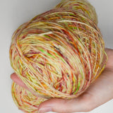 Colorful Variegated Madeline Tosh Tosh Merino Light Yarn - 4 100g Balls