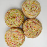 Colorful Variegated Madeline Tosh Tosh Merino Light Yarn - 4 100g Balls