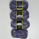 Purple Variegated Sensations Bamboo + Ewe Pattern Wool Blend Yarn - 4 Skeins