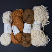 Brown + Neutral Halcyon Classic Wool Rug Yarn - 4 Skeins