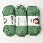 Green Caron Simply Soft Party Sparkly Acrylic Yarn - 3 Skeins