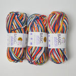 Colorful Variegated Basic Stitch Acrylic Yarn - 3 Skeins