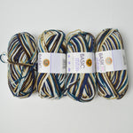 Brown + Blue Variegated Basic Stitch Acrylic Yarn - 4 Skeins