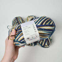 Brown + Blue Variegated Basic Stitch Acrylic Yarn - 4 Skeins