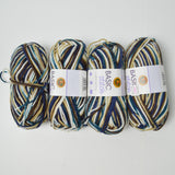 Brown + Blue Variegated Basic Stitch Acrylic Yarn - 4 Skeins
