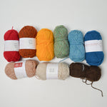 Rainbow Jamieson & Smith Wool Yarn - 9 Small Skeins