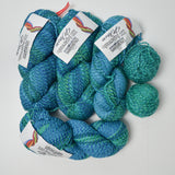 Teal Variegated Cascade Yarns 220 Superwash Yarn - 4 Skeins + Extra
