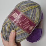 Purple + Green & Gray Variegated Lion Brand Yarn Sock Ease Wool + Nylon Blend Yarn - 2 Skeins