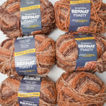 Brown Variegated Bernat Toasty Acrylic Blend Yarn - 6 Skeins