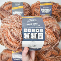 Brown Variegated Bernat Toasty Acrylic Blend Yarn - 6 Skeins