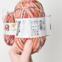 Variegated Regia Design Line Self Striping Sock Yarn - 2 Skeins