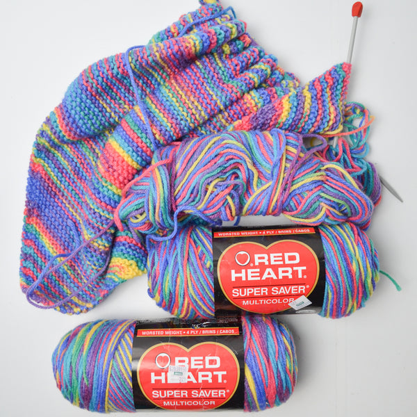 Colorful Variegated Red Heart Super Saver Acrylic Yarn - 2 Skeins + Extra + Project