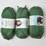 Green Caron Simply Soft Party Acrylic Yarn - 3 Skeins