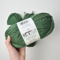 Green Caron Simply Soft Party Acrylic Yarn - 3 Skeins