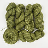 Olive Green Valley Yarns Charlemont Kettle Dye Superwash Merino, Mulberry Silk + Polyamide Yarn - 6 Skeins