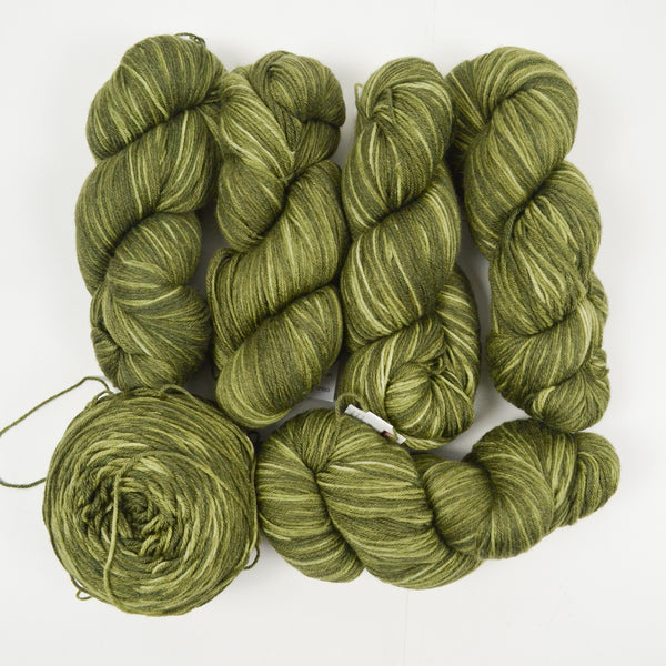 Olive Green Valley Yarns Charlemont Kettle Dye Superwash Merino, Mulberry Silk + Polyamide Yarn - 6 Skeins