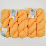 Orange Cascade Yarns 150 Heritage Sock Merino Superwash Wool + Nylon Yarn - 5 Skeins