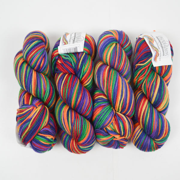 Rainbow Variegated Cascade Yarns 220 Superwash Paints Superwash Wool Yarn - 4 Skeins