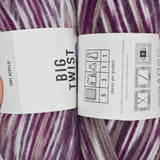 Purple + White Variegated Big Twist Classic Acrylic Yarn - 2 Skeins