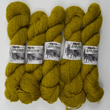 Green Appledore Double Knit Devon Closewool, Romney + Exmoor Blueface Wool Yarn - 5 Skeins