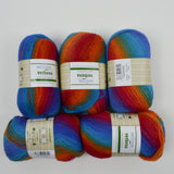 Rainbow Variegated Willow Verbena Superwash Wool + Nylon Yarn - 5 Balls
