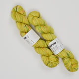 Bright Green + Colorful Variegated Koigu KPPPM Merino Wool Yarn - 2 Skeins