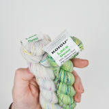 Variegated Koigu KPPPM Lace Weight Merino Wool Yarn - 8 Demi Skeins