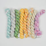 Variegated Koigu KPPPM Lace Weight Merino Wool Yarn - 8 Demi Skeins