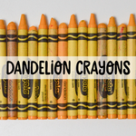 Three Dandelion Crayons