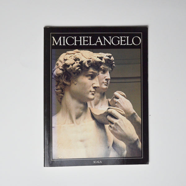 Michelangelo Book Default Title