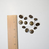 Brass-Look Plastic Buttons - Set of 12 in 2 Sizes Default Title