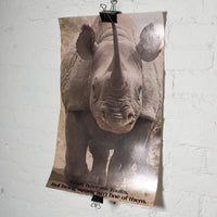 Rhino Poster (Pick-Up Only) Default Title