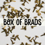 Box of Brads