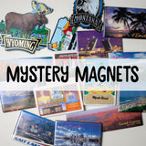 Five Mystery Magnets